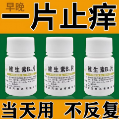 维生素b6片止痒正品荆成人肤止痒寻荨麻颗疹断过敏粒止痒根专用药